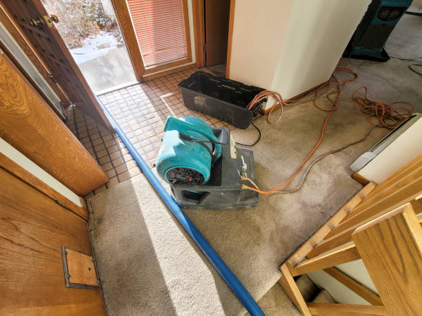 Local water damage restoration in NE