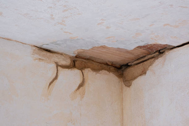 Best Basement water damage restoration  in Wahoo, NE