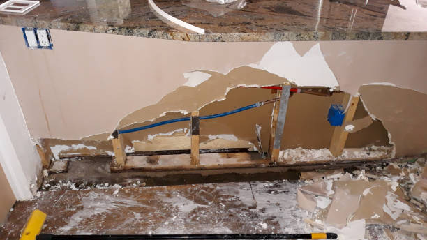 Best Carpet water damage restoration  in Wahoo, NE
