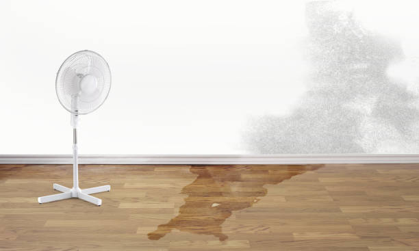 Best Flood restoration services  in Wahoo, NE