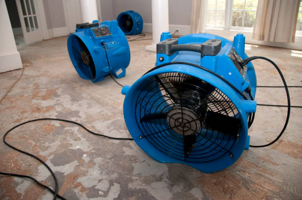 Best Water damage restoration near me  in Wahoo, NE