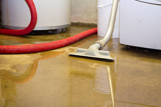 Best Water damage contractors near me  in Wahoo, NE