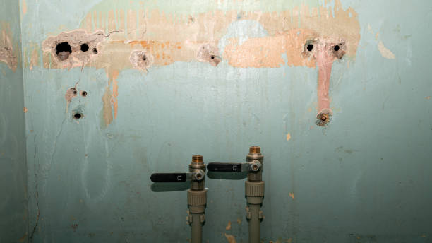 Best Basement water damage restoration  in Wahoo, NE