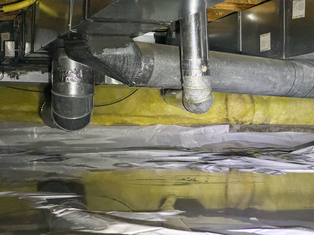 Best Local water damage restoration  in Wahoo, NE