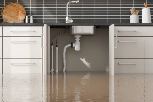Best Fire Damage Restoration  in Wahoo, NE