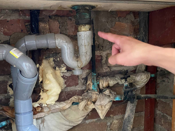 Best 24-hour water damage restoration  in Wahoo, NE