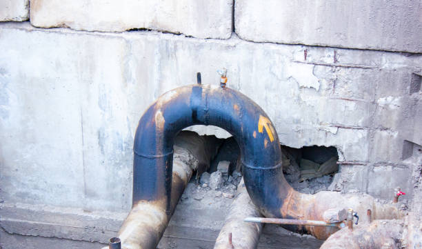Best Water damage restoration process  in Wahoo, NE