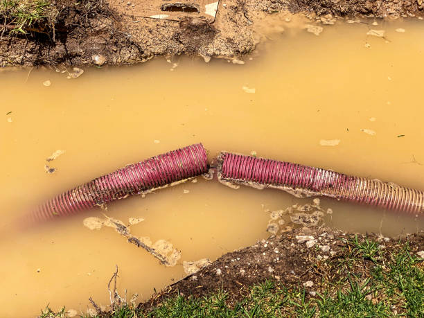 Best Commercial water damage restoration  in Wahoo, NE