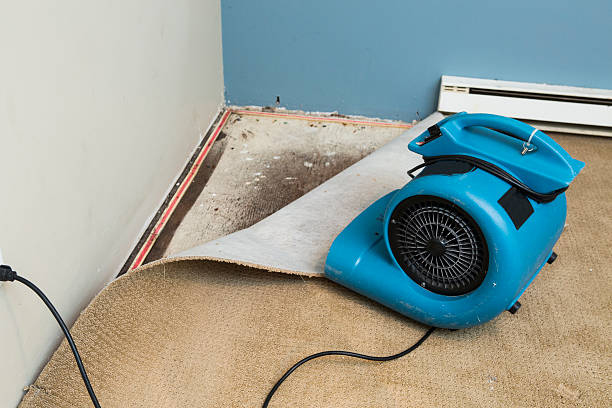 Best Flood damage cleanup  in Wahoo, NE